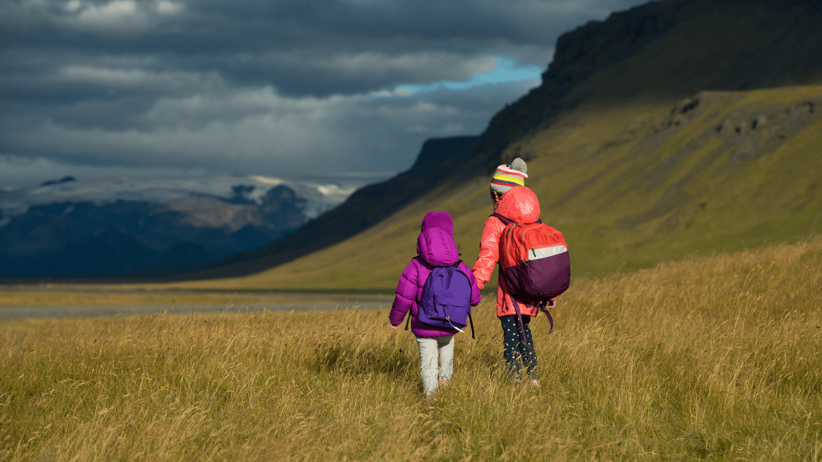 Children walking in long grass in Iceland. 