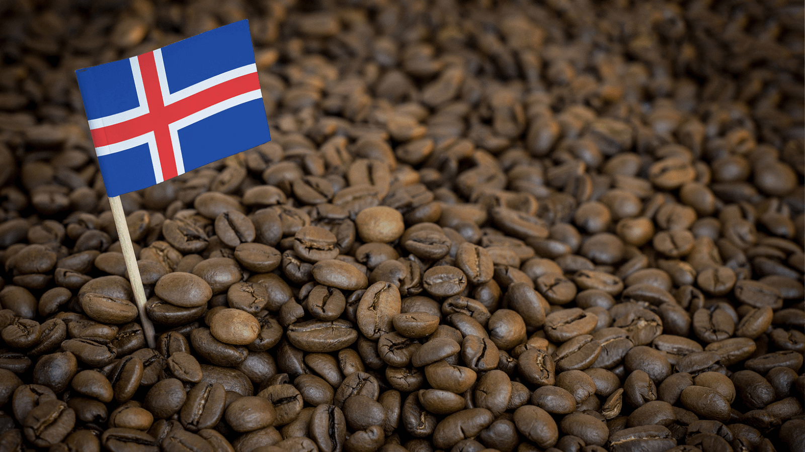 Close-up of coffee beans with an Icelandic flag toothpick.