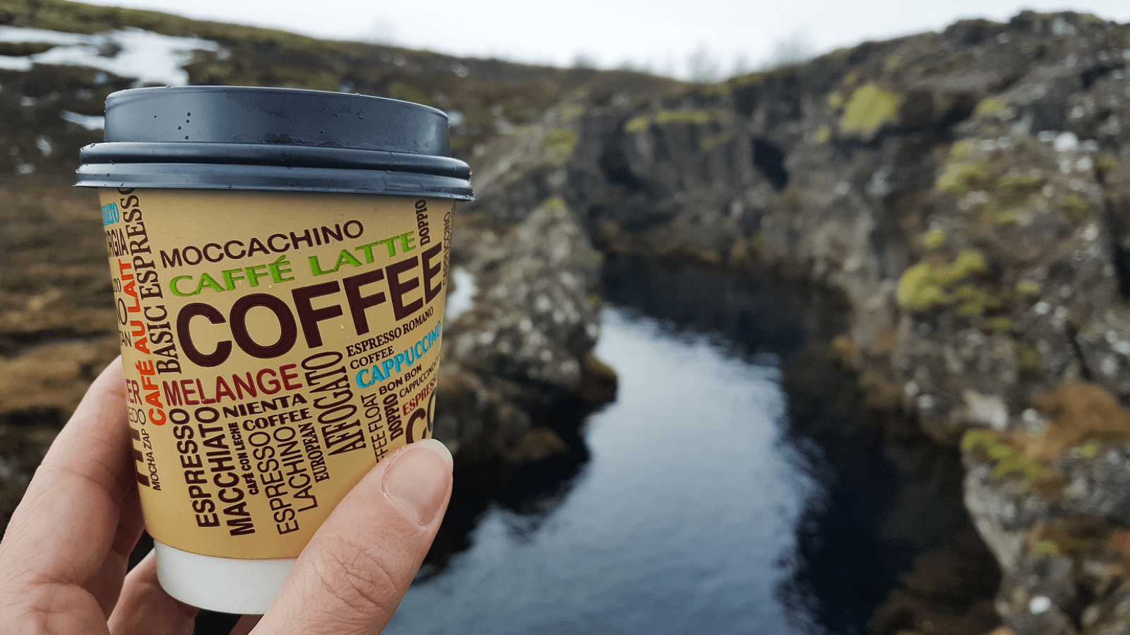 Person holding a takeaway coffee cup close to the camera with the Icelandic wilderness in the background. 