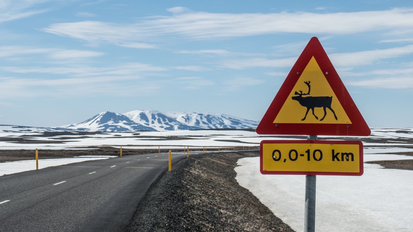 A reindeer sign on a road in Iceland during winter.