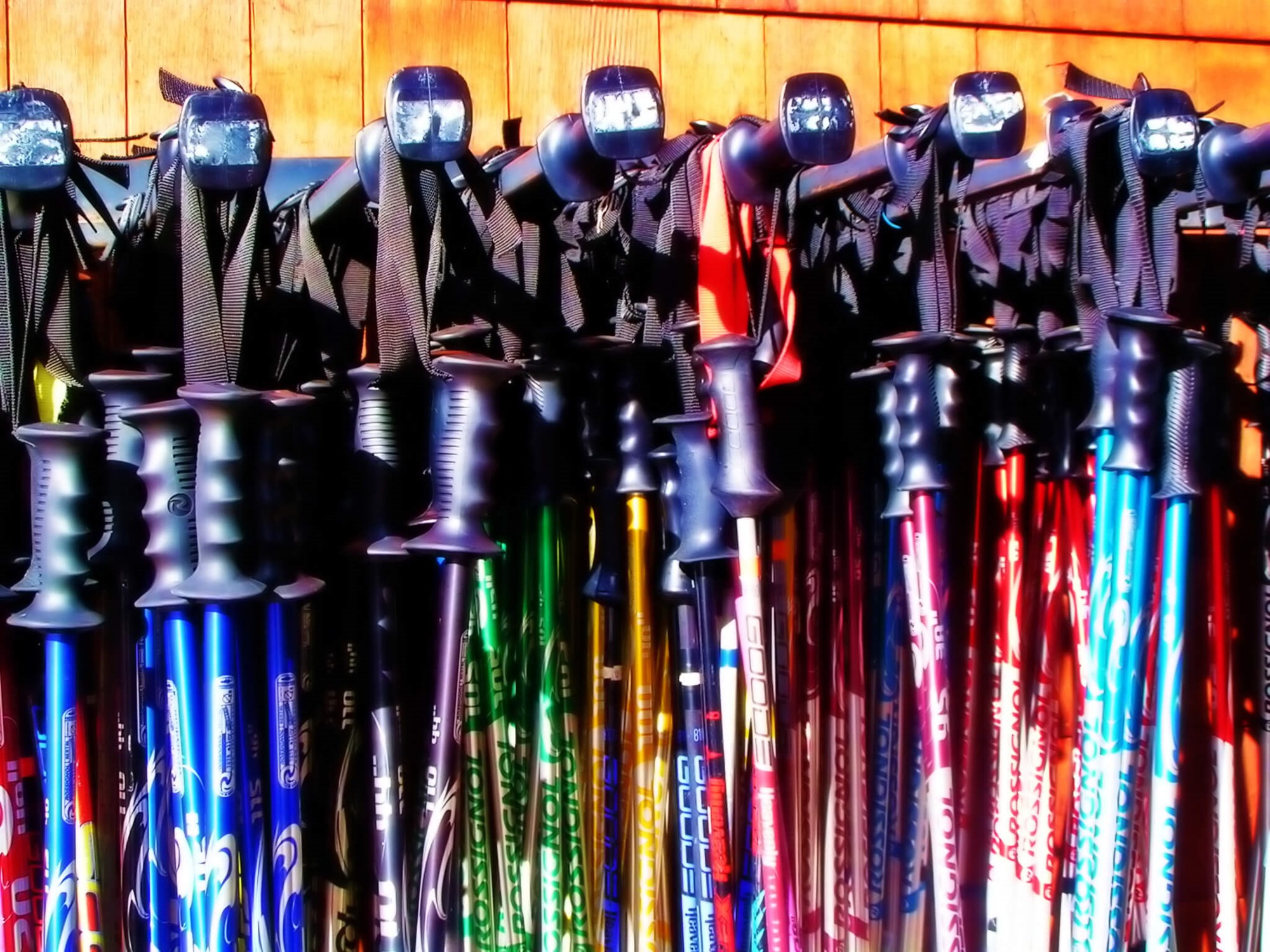 Ski poles in various colors and sizes on a rack for rental