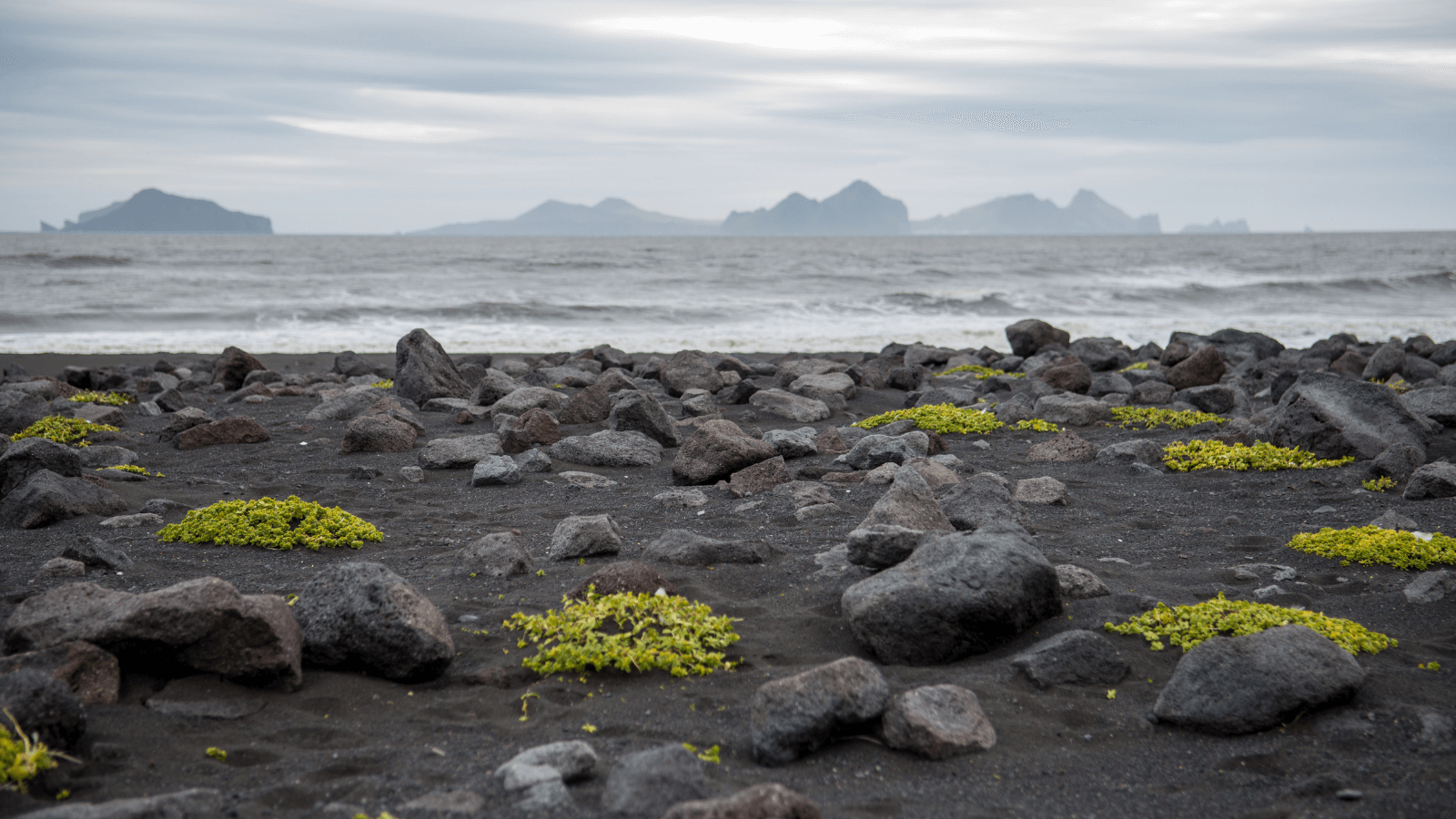 Black beach in Iceland with islands in the background.